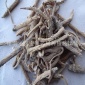 沙参 带皮 药材 草药 中药  材 内蒙古 赤峰 批发